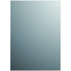 Plieger Spiegel Zilver 120x45 Cm