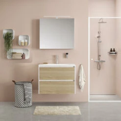 Tiger Douchemand Noon Hoek RVS -Badkamer Verkoop 123 2410